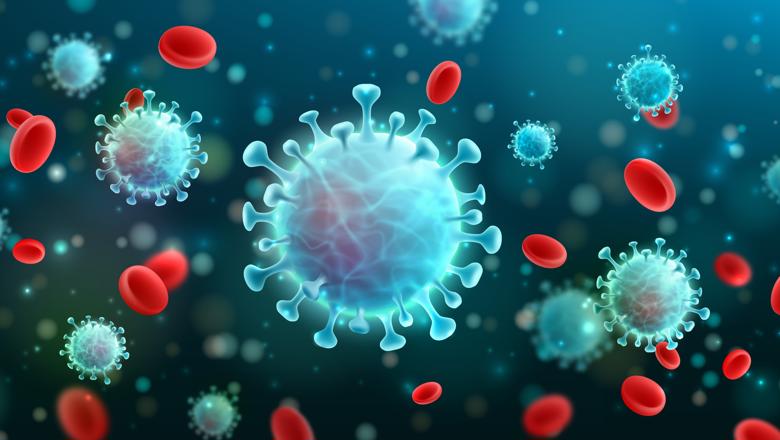 Coronaviruses affecting red blood cells.